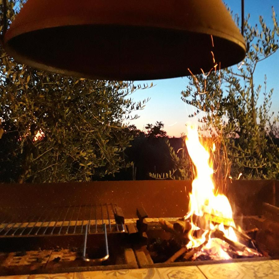 La Vigna Countrybnb Montottone Exteriör bild