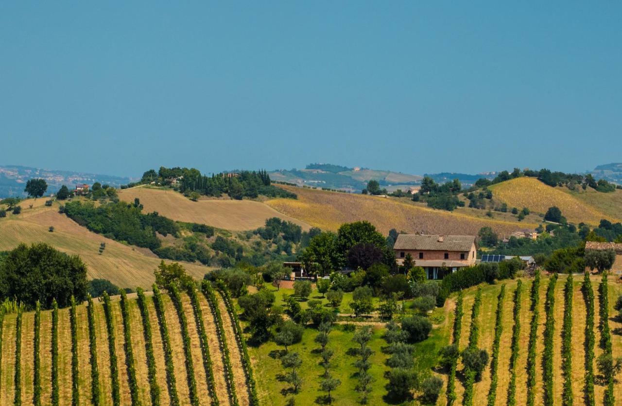 La Vigna Countrybnb Montottone Exteriör bild